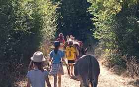 Mit dem esel die Umgebung erkunden